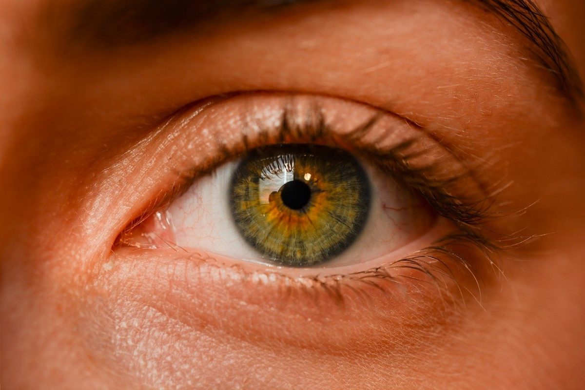 Oczy to wyrafinowany organ. To naturalnie dzięki nim widzimy.